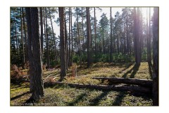 Toulovcovy-Mastale-063