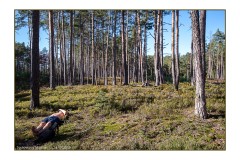 Toulovcovy-Mastale-065