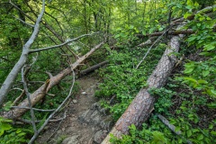 2020.05.08.-Oslavka-100-of-234