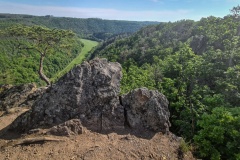 2020.05.08.-Oslavka-156-of-234