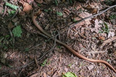 2020.05.08.-Oslavka-181-of-234