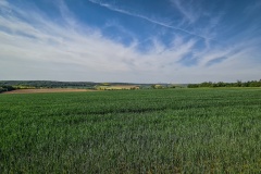 2020.05.08.-Oslavka-187-of-234