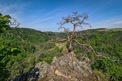 2020.05.08.-Oslavka-190-of-234