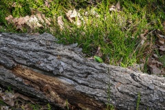 2020.05.08.-Oslavka-198-of-234