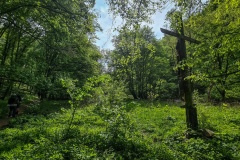 2020.05.08.-Oslavka-45-of-234