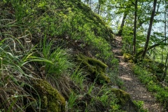 2020.05.08.-Oslavka-65-of-234