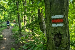 2020.05.08.-Oslavka-92-of-234